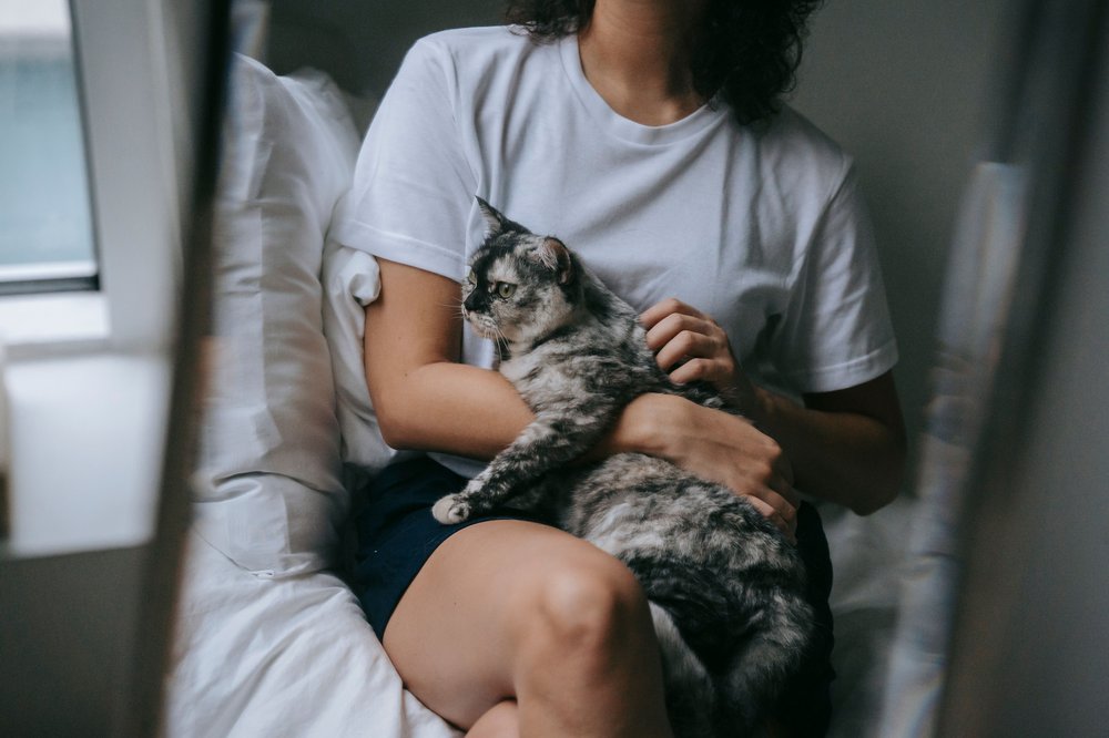 Pessoa acariciando um gato em casa — redução de estresse pelo convívio com o pet