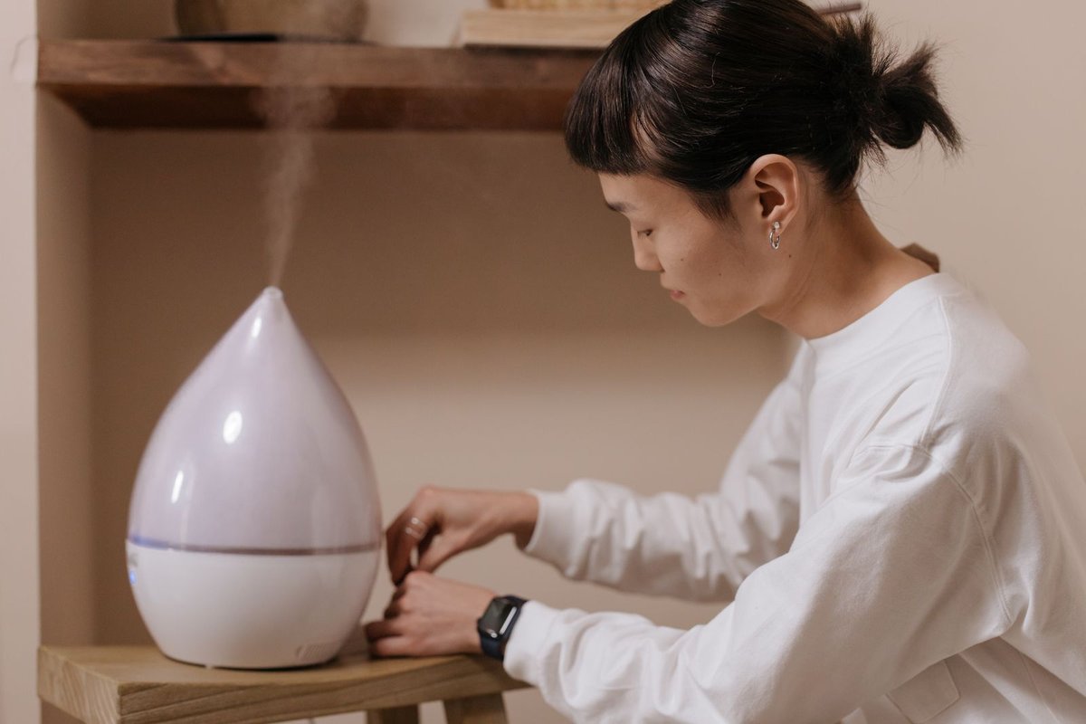 Humidificateur d'air sur un rebord de fenêtre en hiver — air sec maison