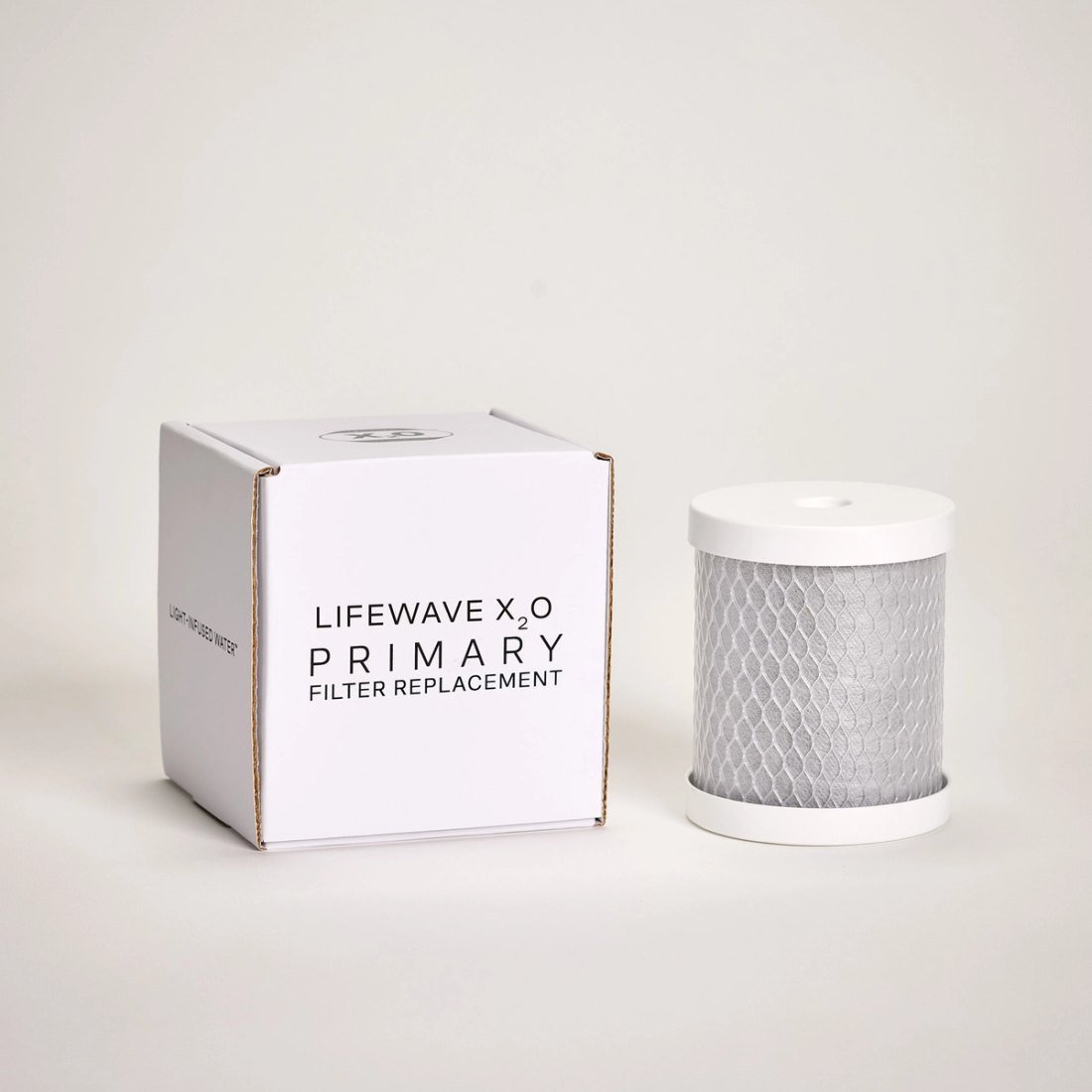 X₂O Primary Filter Replacement